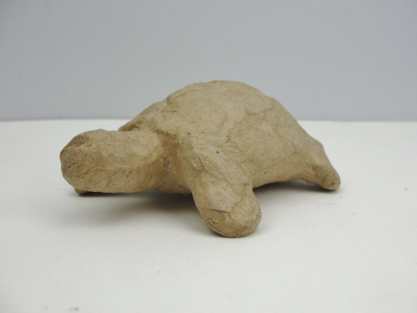 Small Paper mache turtle tortoise